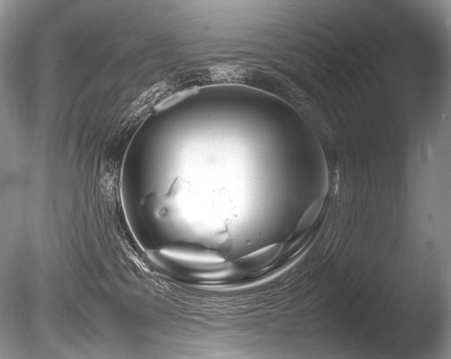 X0000086260329200703291440