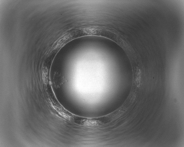 X0000086260332200703291440