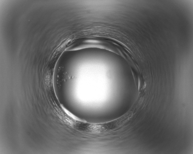 X0000086260333200703291440