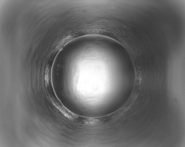 X0000086260334200703291440