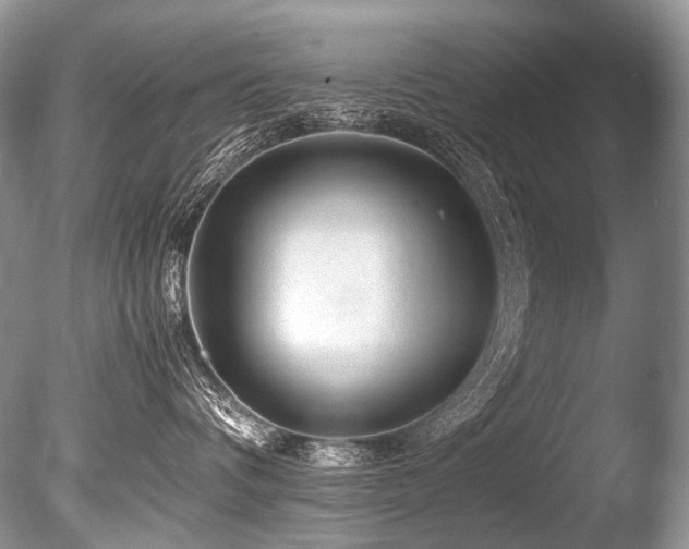 X0000086260336200703291440
