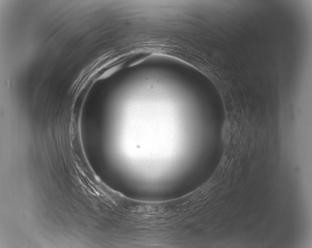 X0000086260338200703291439