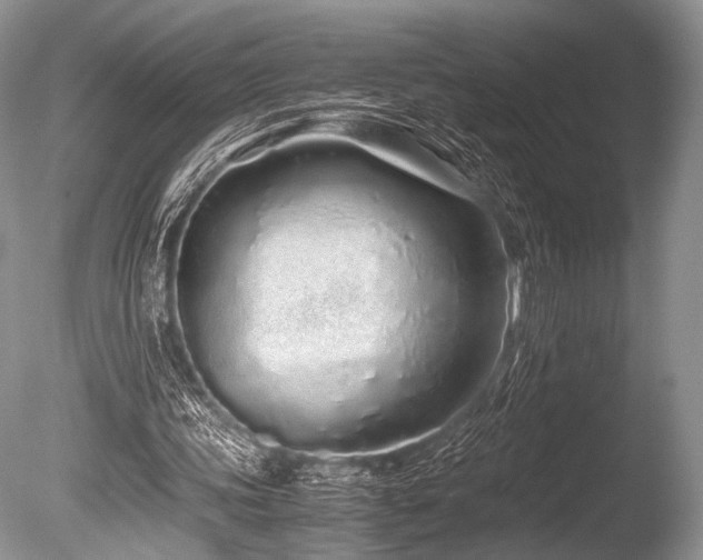 X0000086260339200703291439