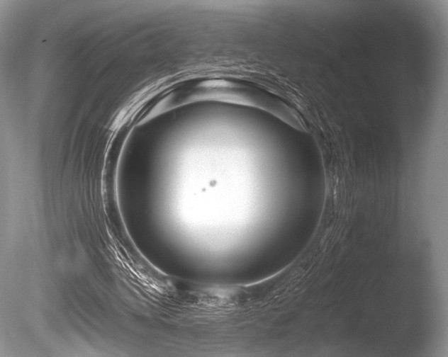 X0000086260340200703291439