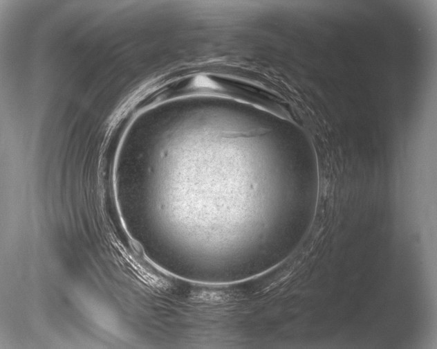 X0000086260341200703291439