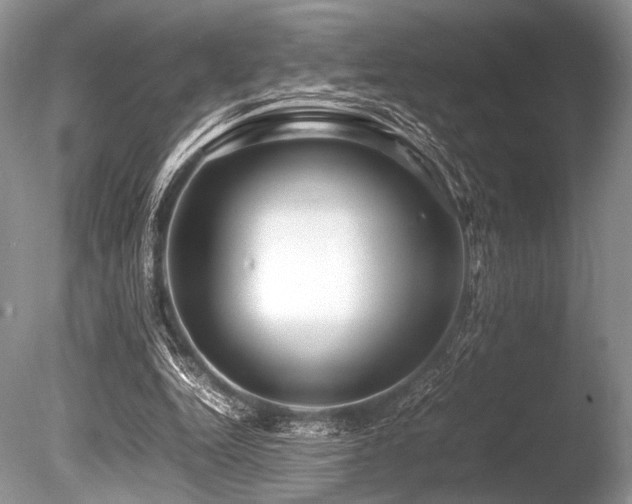 X0000086260344200703291439