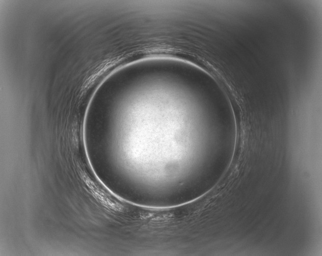 X0000086260345200703291439