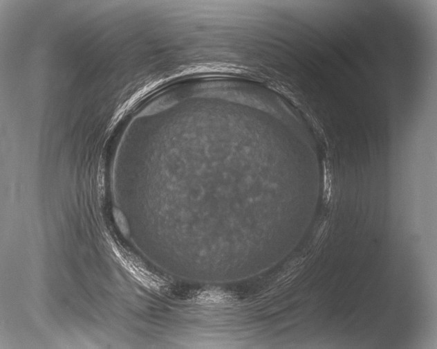 X0000086260348200703291439