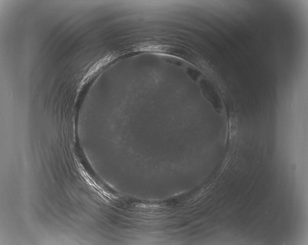 X0000086260349200703291439