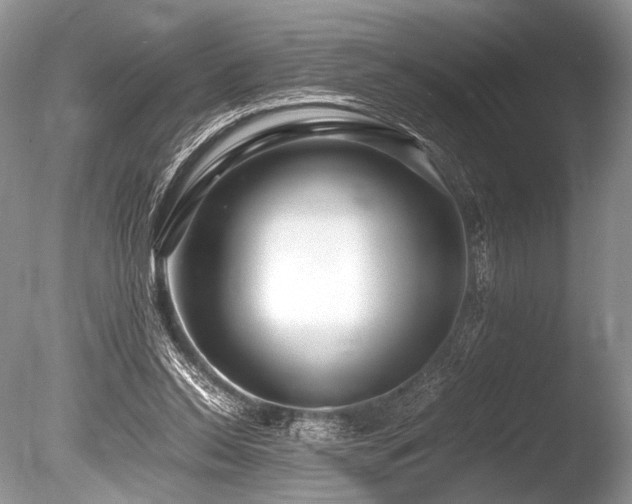 X0000086260350200703291439