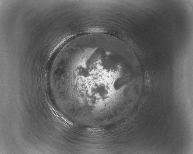 X0000086260351200703291439