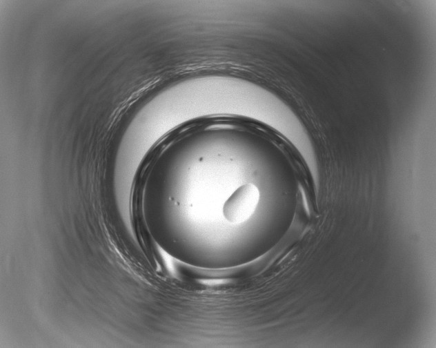 X0000086260356200703291439