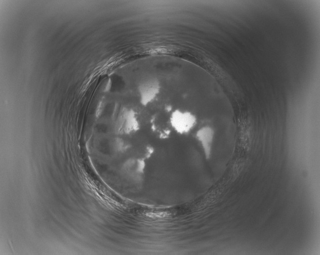 X0000086260357200703291439