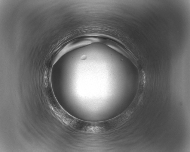 X0000086260360200703291439