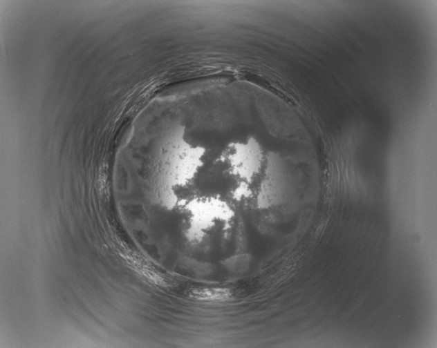X0000086260361200703291439