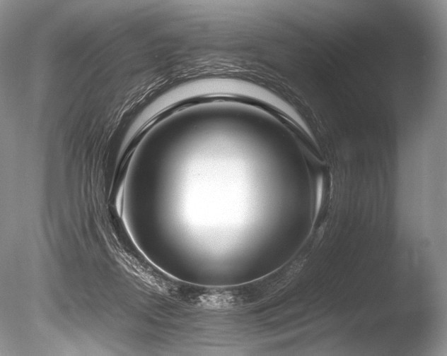 X0000086260362200703291439
