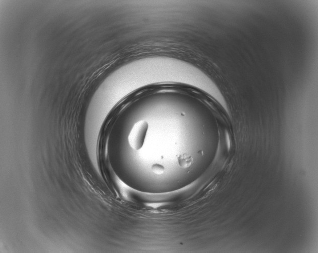 X0000086260364200703291439