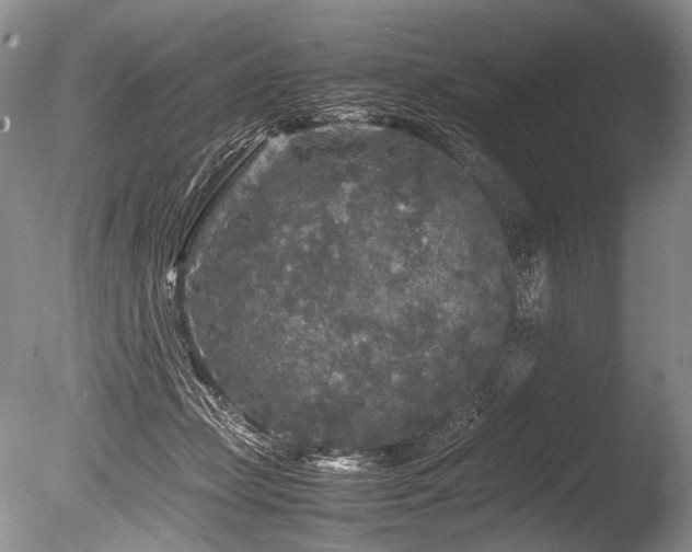 X0000086260365200703291439