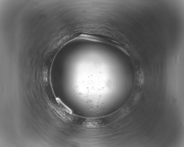 X0000086260368200703291439