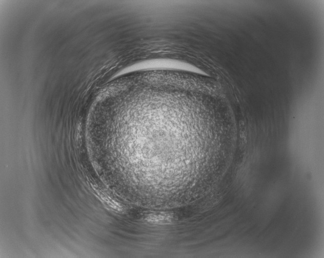 X0000086260369200703291439