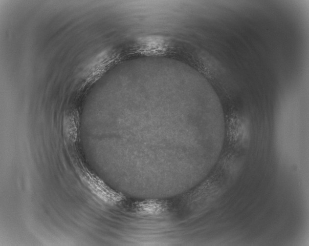 X0000086260370200703291439