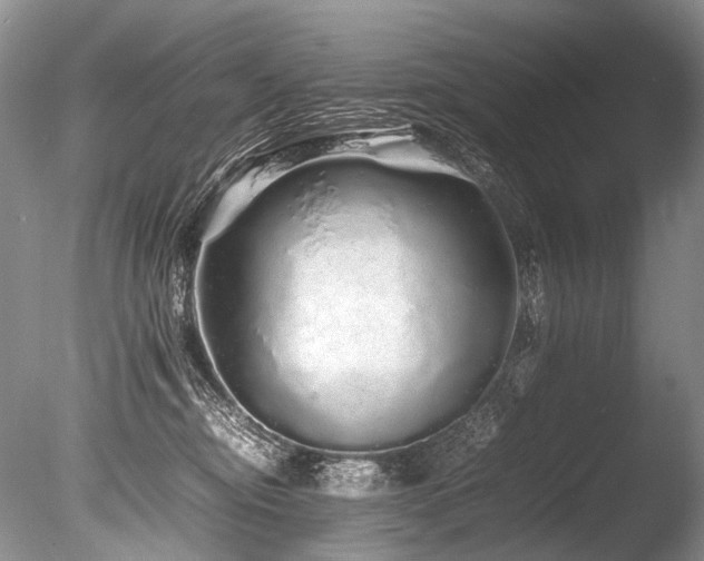 X0000086260374200703291439