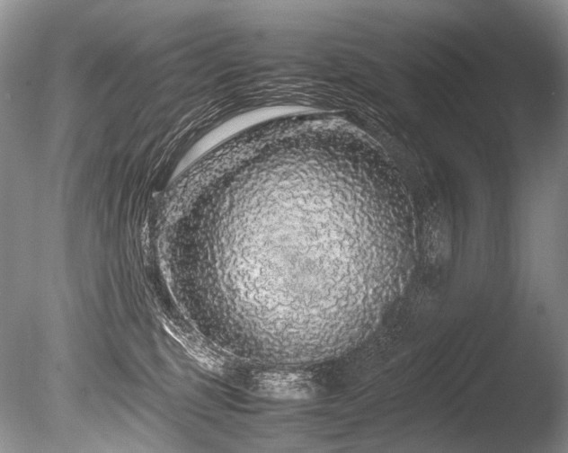 X0000086260375200703291439