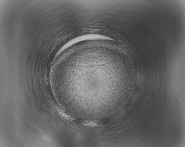 X0000086260377200703291440