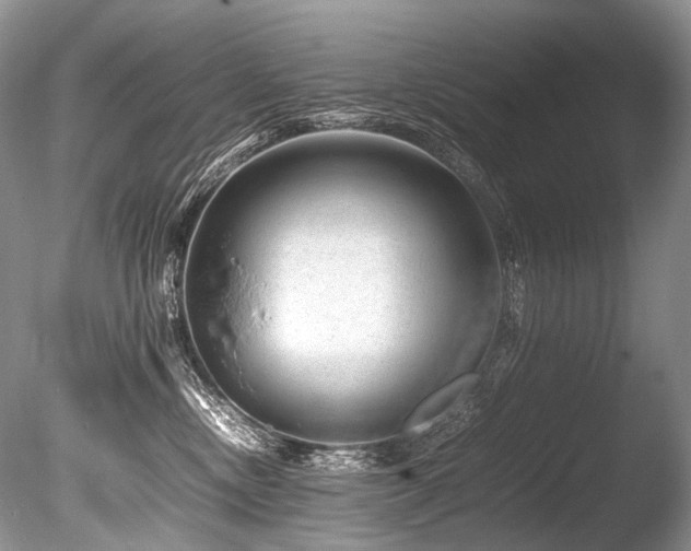 X0000086260378200703291440