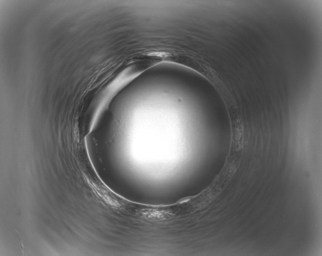 X0000086260379200703291440