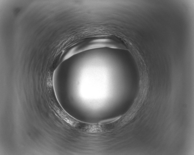 X0000086260384200703291440