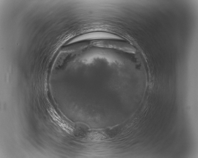 X0000086260386200703291439