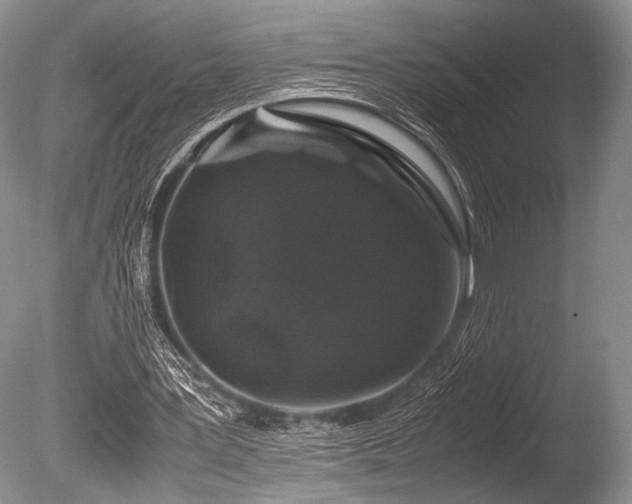 X0000086260387200703291439
