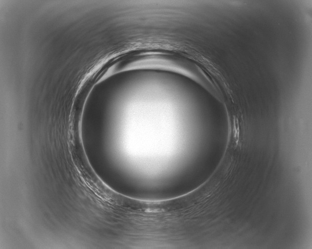 X0000086260388200703291439
