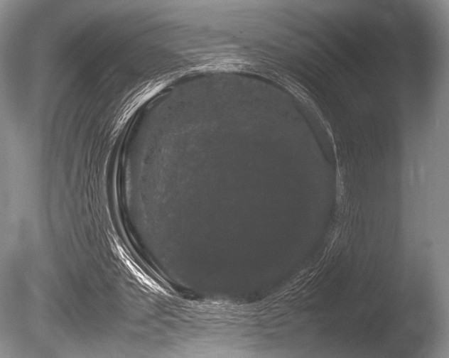 X0000086260389200703291439
