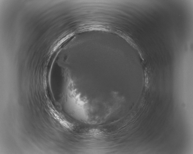 X0000086260390200703291439