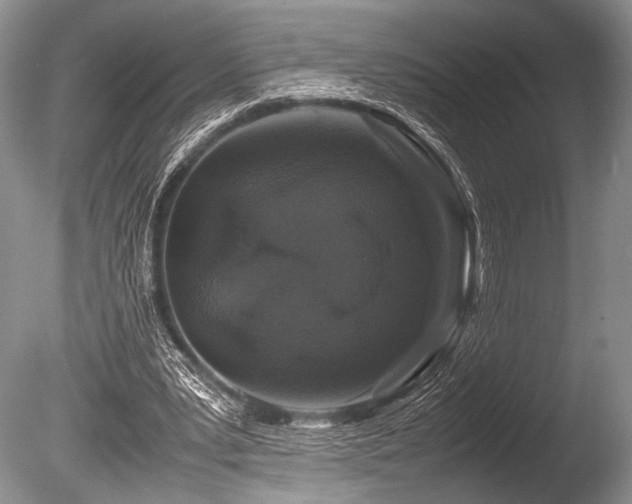 X0000086260391200703291439