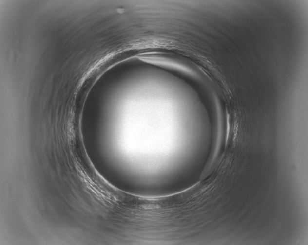 X0000086260392200703291439