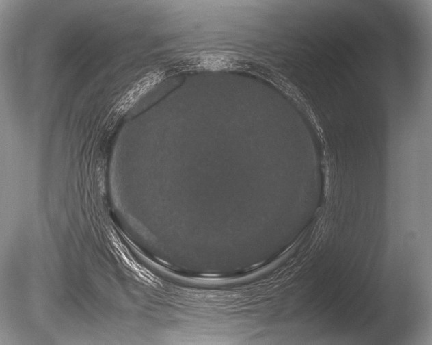 X0000086260393200703291439