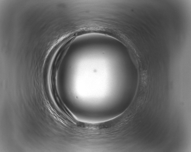 X0000086260395200703291439