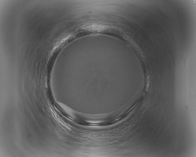 X0000086260399200703291439