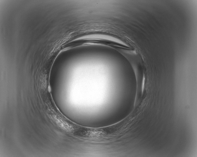 X0000086260401200703291439