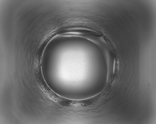 X0000086260407200703291438