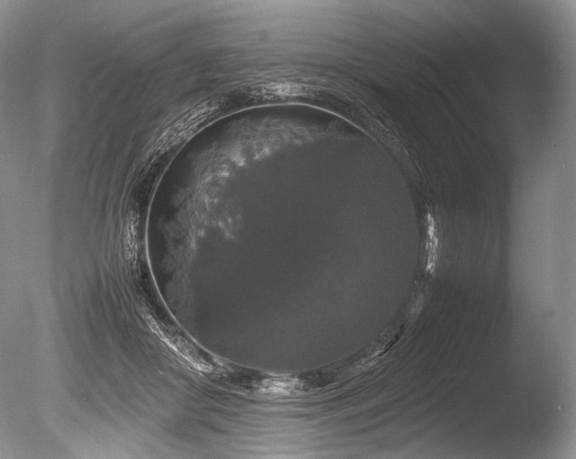 X0000086260410200703291438