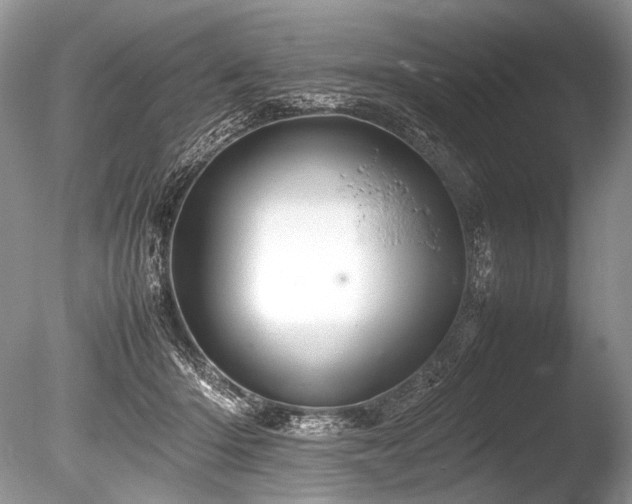 X0000086260414200703291438