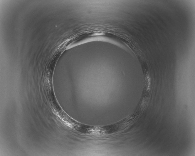X0000086260415200703291438