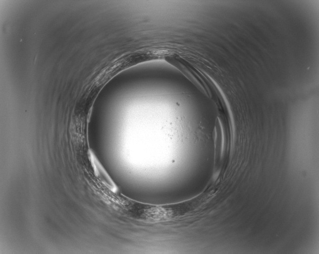X0000086260421200703291438