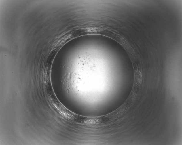 X0000086260422200703291438