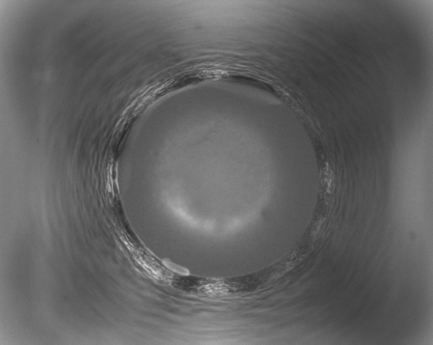 X0000086260423200703291438