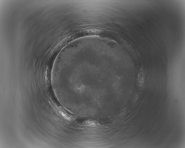 X0000086260424200703291438